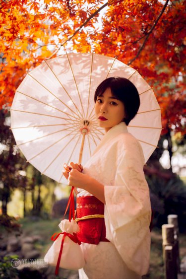 丁丁歷險(xiǎn)記迅雷下載