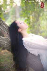 電視劇初婚劇情介紹