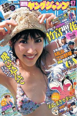 超級(jí)賽羅格斗動(dòng)漫