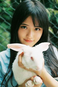 德黑蘭43年電影