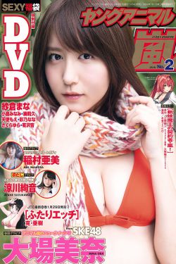 新精武門(mén)1991高清國(guó)語(yǔ)