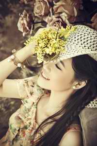 藏機(jī)圖正版