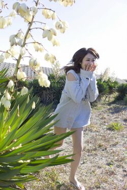 日本輪胎有哪些牌子