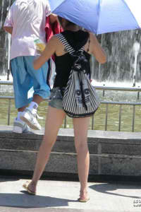 野鴨子第二部全集